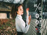 上海冕奇网络科技工作室