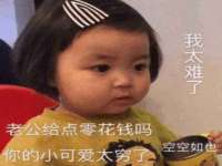 上海冕奇网络科技工作室