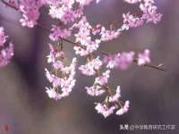 上海冕奇网络科技工作室
