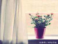 上海冕奇网络科技工作室