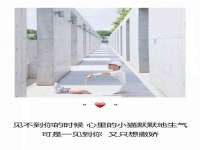 上海冕奇网络科技工作室