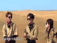 上海冕奇网络科技工作室