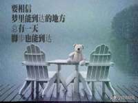 上海冕奇网络科技工作室