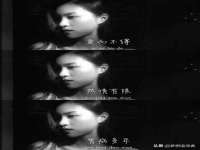 上海冕奇网络科技工作室