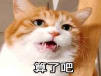 上海冕奇网络科技工作室