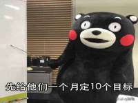 上海冕奇网络科技工作室