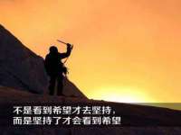 上海冕奇网络科技工作室