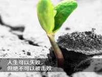 上海冕奇网络科技工作室