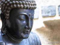 上海冕奇网络科技工作室