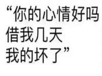 上海冕奇网络科技工作室