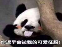 上海冕奇网络科技工作室