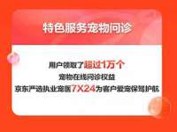 上海冕奇网络科技工作室