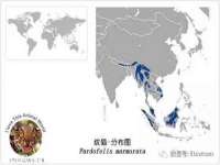 上海冕奇网络科技工作室