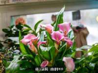 上海冕奇网络科技工作室