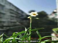 上海冕奇网络科技工作室