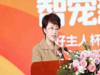 上海冕奇网络科技工作室