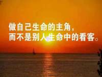 上海冕奇网络科技工作室