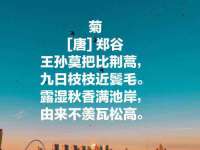 上海冕奇网络科技工作室