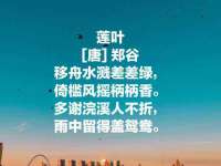 上海冕奇网络科技工作室