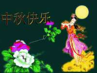 上海冕奇网络科技工作室