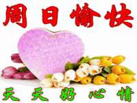 上海冕奇网络科技工作室