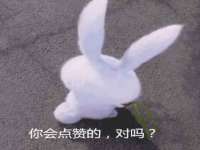 上海冕奇网络科技工作室