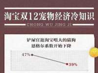 上海冕奇网络科技工作室