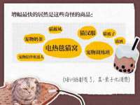 上海冕奇网络科技工作室