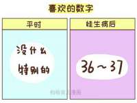上海冕奇网络科技工作室