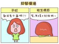 上海冕奇网络科技工作室