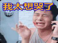 上海冕奇网络科技工作室