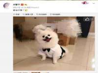 上海冕奇网络科技工作室