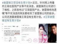 上海冕奇网络科技工作室