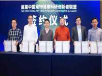 上海冕奇网络科技工作室