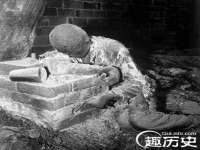 上海冕奇网络科技工作室