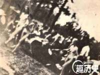 上海冕奇网络科技工作室