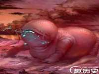 上海冕奇网络科技工作室