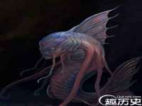 上海冕奇网络科技工作室