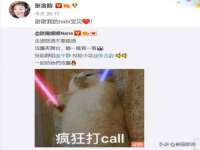 上海冕奇网络科技工作室