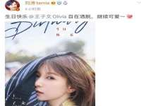 上海冕奇网络科技工作室