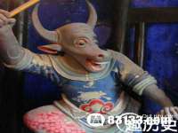 上海冕奇网络科技工作室