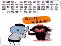上海冕奇网络科技工作室