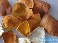 上海冕奇网络科技工作室