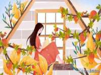上海冕奇网络科技工作室