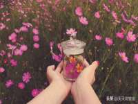 上海冕奇网络科技工作室