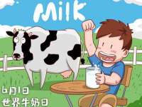 上海冕奇网络科技工作室