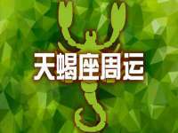 上海冕奇网络科技工作室