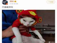 上海冕奇网络科技工作室