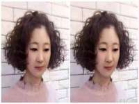 上海冕奇网络科技工作室